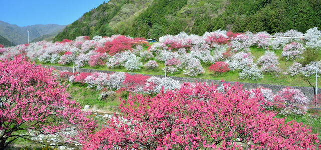 Hirugami Onsen