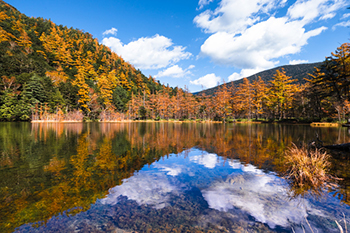 Kamikochi