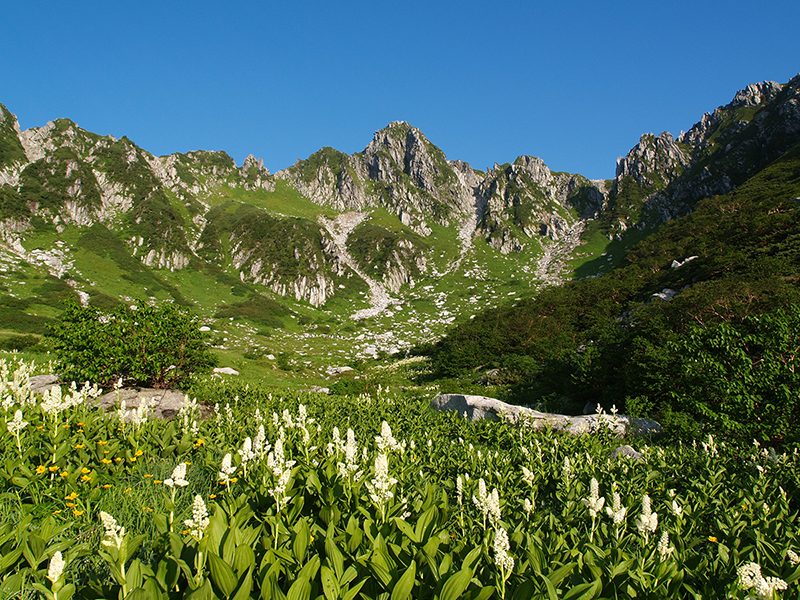 August: Senjojiki Cirque in summer