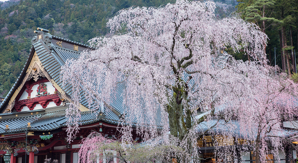 Mt. Minobu / Minobu