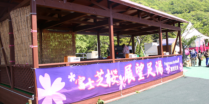 Fuji Shibazakura Festival