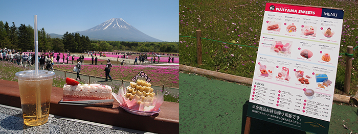 Fuji Shibazakura Festival